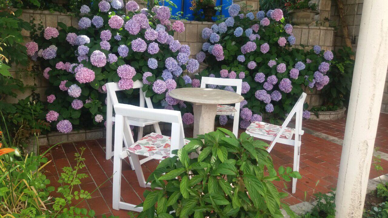 Apartman Taraca Villa Knezevic 헤르섹 외부 사진